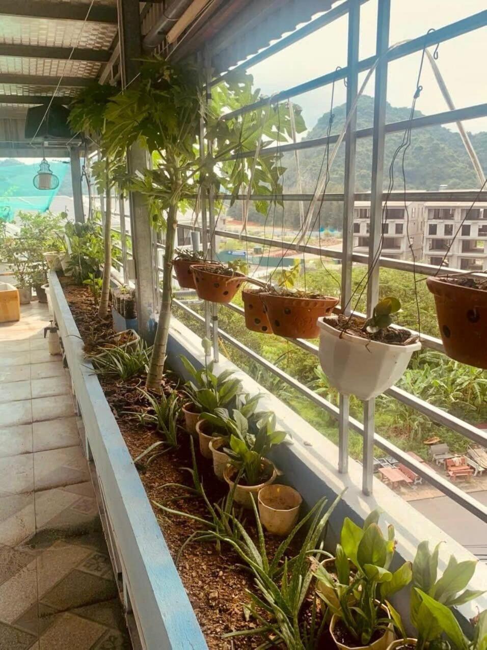 Thu Thuy Hotel Chan Chau Εξωτερικό φωτογραφία